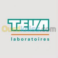 alger-hydra-algerie-services-directeur-technique