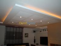 alger-ben-aknoun-algerie-services-faux-plafond