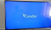 Condor 43 pouce FHD