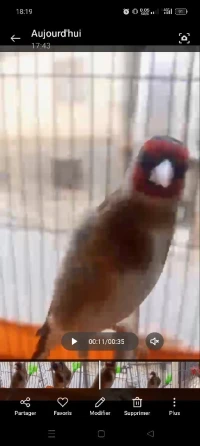 مقنين فيه كلام شباب