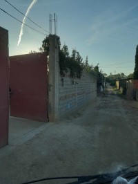 آخر-بيع-عقار-تلمسان-مغنية-الجزائر