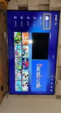 Samsung  55pouce 