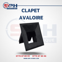 industrie-fabrication-clapet-avaloire-dar-el-beida-alger-algerie