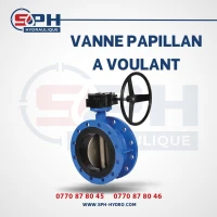 VANNE PAPILLON A VOULANT