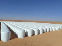 علف البقر
