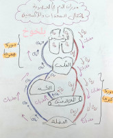 ecoles-formations-cours-de-soutien-math-science-physique-4am-kouba-alger-algerie