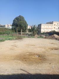 terrain-vente-alger-khraissia-algerie