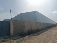 hangar-location-alger-les-eucalyptus-algerie