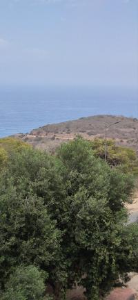 appartement-location-f3-ain-temouchent-beni-saf-algerie