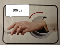 Souris
