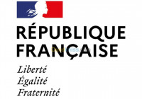 services-a-letranger-acquisition-de-la-nationalite-francaise-tizi-ouzou-algerie