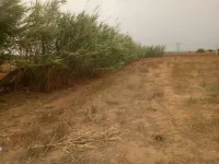 Vente Terrain Agricole Mostaganem Sayada