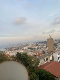 آخر-بيع-عقار-الجزائر-وسط