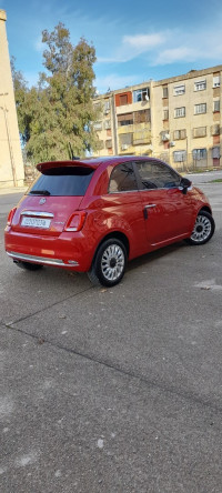 voitures-fiat-500-2023-club-medea-algerie