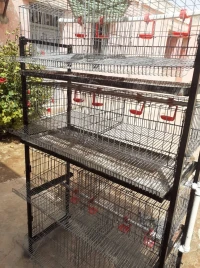 بطاريات السمان 