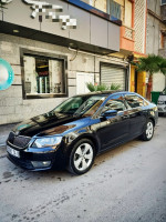 voitures-skoda-octavia-2014-elegence-setif-algerie