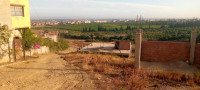 terrain-vente-blida-bougara-algerie