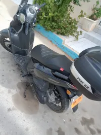 vms coral vms coral 2023