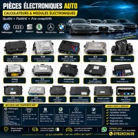 المحرك-و-علبة-السرعة-calculateur-moteur-bcm-bsi-brc-usm-uch-sam-frm-fem-bdc-cas-ews-abs-esp-airbag-boite-automatique-tcu-module-confort-electronique-habitacle-حسين-داي-الجزائر