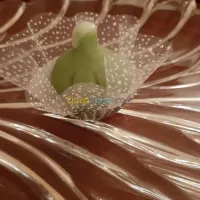 gâteaux