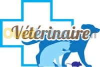 البليدة-لارباع-الجزائر-طب-و-صحة-veterinaire