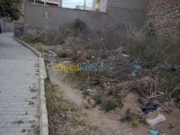 أرض-بيع-تلمسان-غزوات-الجزائر
