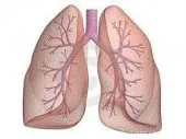 PneumoPhtisiologie et Allergologie