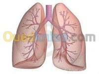 البليدة-أولاد-يعيش-الجزائر-خدمات-pneumophtisiologie-et-allergologie