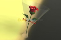 وهران-بئر-الجير-الجزائر-خدمات-dessin-solidworks