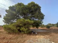 Vente bien immobilier Oran Ain el bia