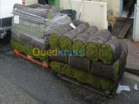 الجزائر-وسط-خدمات-amenagemment-des-espace-verte-loisir