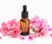 huile essentielle de Géranium Bourbon (en gros pour les distributeurs et fabricants+détails) 