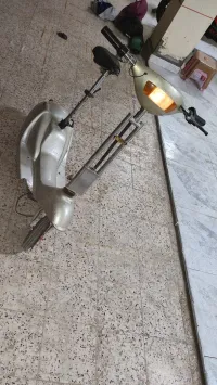 Trontinet 