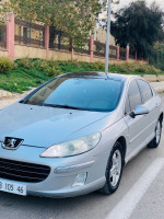 berline-peugeot-407-2005-ain-temouchent-algerie