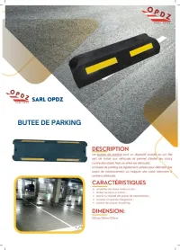 BUTEE DE PARKING