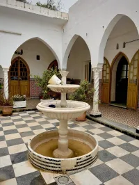 Vente Local Blida Blida