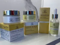 الجزائر العاصمة