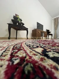 Location vacances Appartement F5 Alger Hraoua