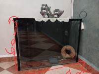 نباتات-صناعية-caoureume-الرويبة-الجزائر