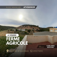 terrain-agricole-vente-oran-algerie