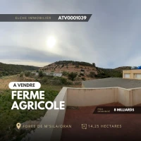 Vente Terrain Oran Misseghine