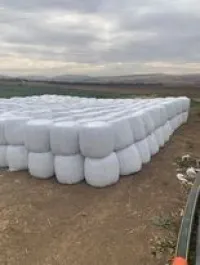 Ensilage Mais Boulette  اعلاف حيوانات انسلاج