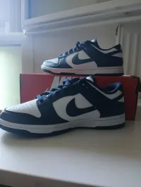 Nike Dounk Low Retro Originale