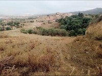 أرض-بيع-البليدة-بوقرة-الجزائر