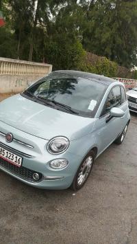 سيارات-fiat-500-2023-club-القبة-الجزائر
