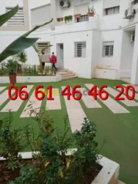 DEMENAGEMENT _PARTICULIER_ MANUTENTION