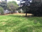 Location Villa Alger Ben aknoun