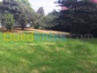 Location Villa Alger Ben aknoun thumbnail 3