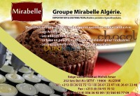 setif-algeria-services-madeleine-caissette-muffins