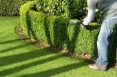 nettoyage et jardinage